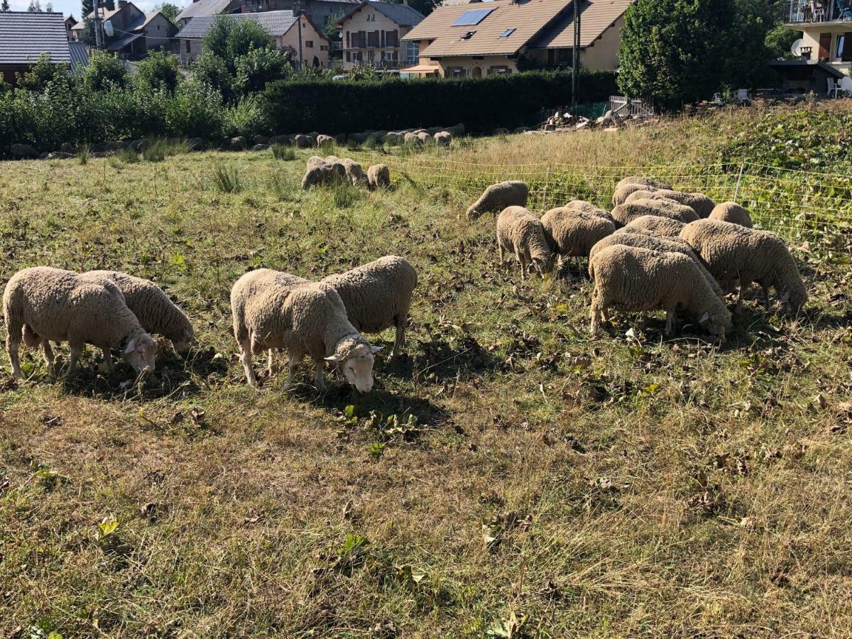 Duplex 6 A 8 Couchages Calme Avec Solarium Plein Sud Leilighet Ancelle Eksteriør bilde