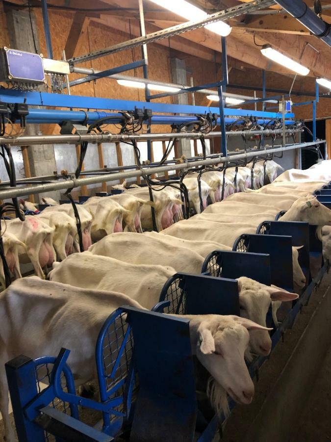 Duplex 6 A 8 Couchages Calme Avec Solarium Plein Sud Leilighet Ancelle Eksteriør bilde